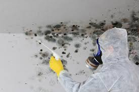 Best Mold Remediation for Healthcare Facilities  in West Perrine, FL